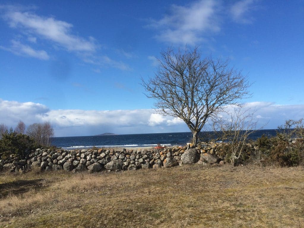 Fantastisk havsutsikt från tomten med stenmurar och naturlig kustmiljö. Bara 80 meter till Kalmarsund där du kan njuta av sköna bad. Perfekt läge längs Ölands natursköna västkust med vacker utsikt över vattnet.