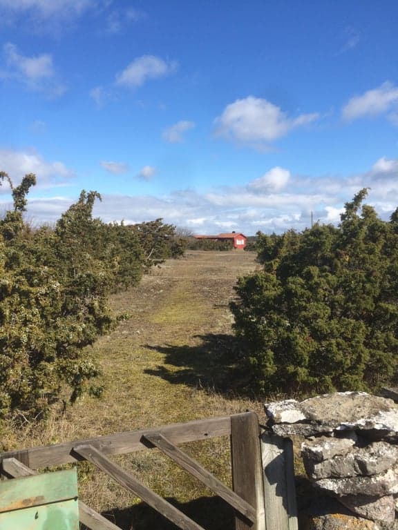 Utsikt från stugan över den natursköna omgivningen med öppna fält och grönska. Den röda stugan syns i bakgrunden omgiven av Ölands vackra landskap under en klarblå himmel med vita moln.